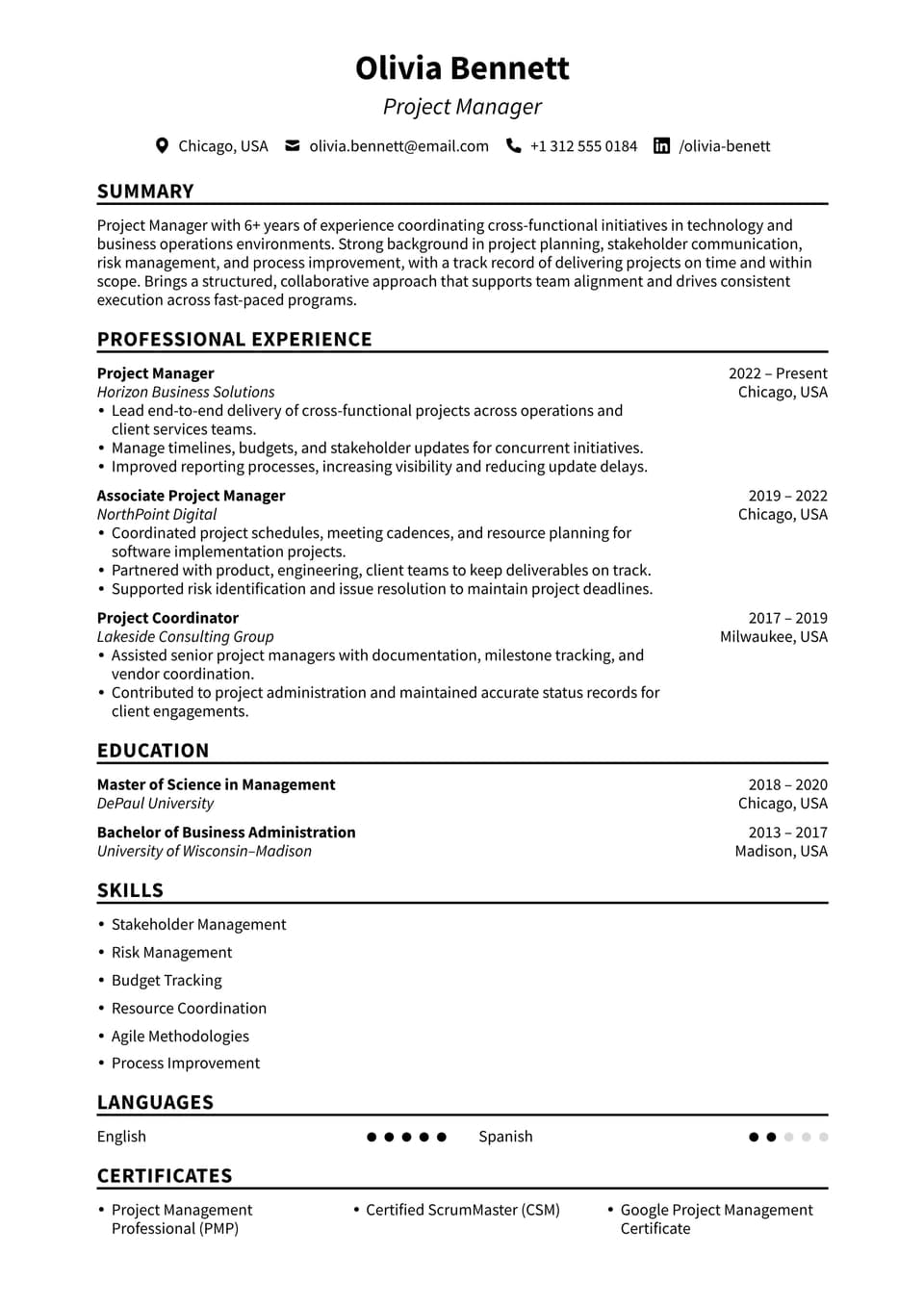 Project Manager resume example