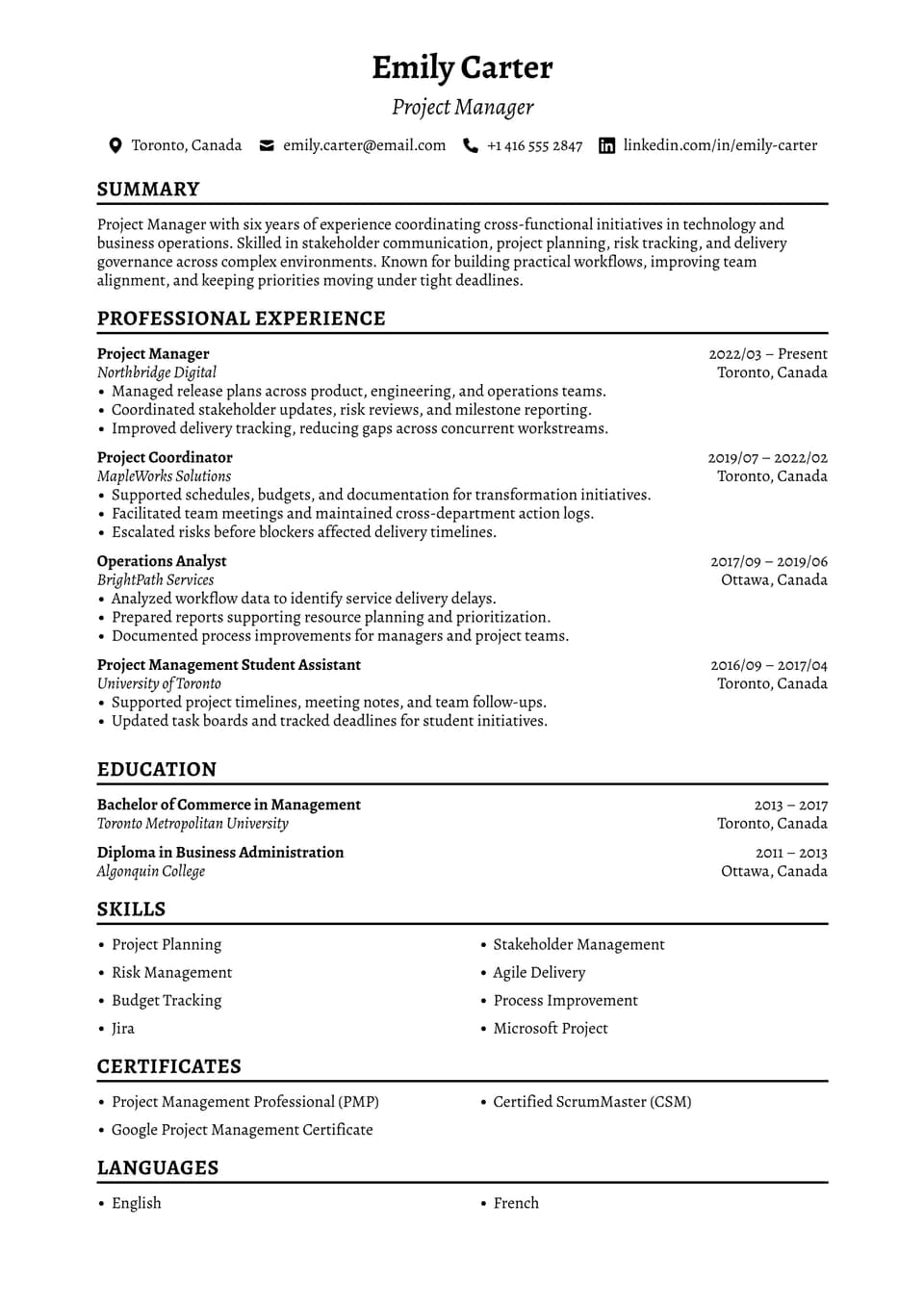 Project Manager resume example