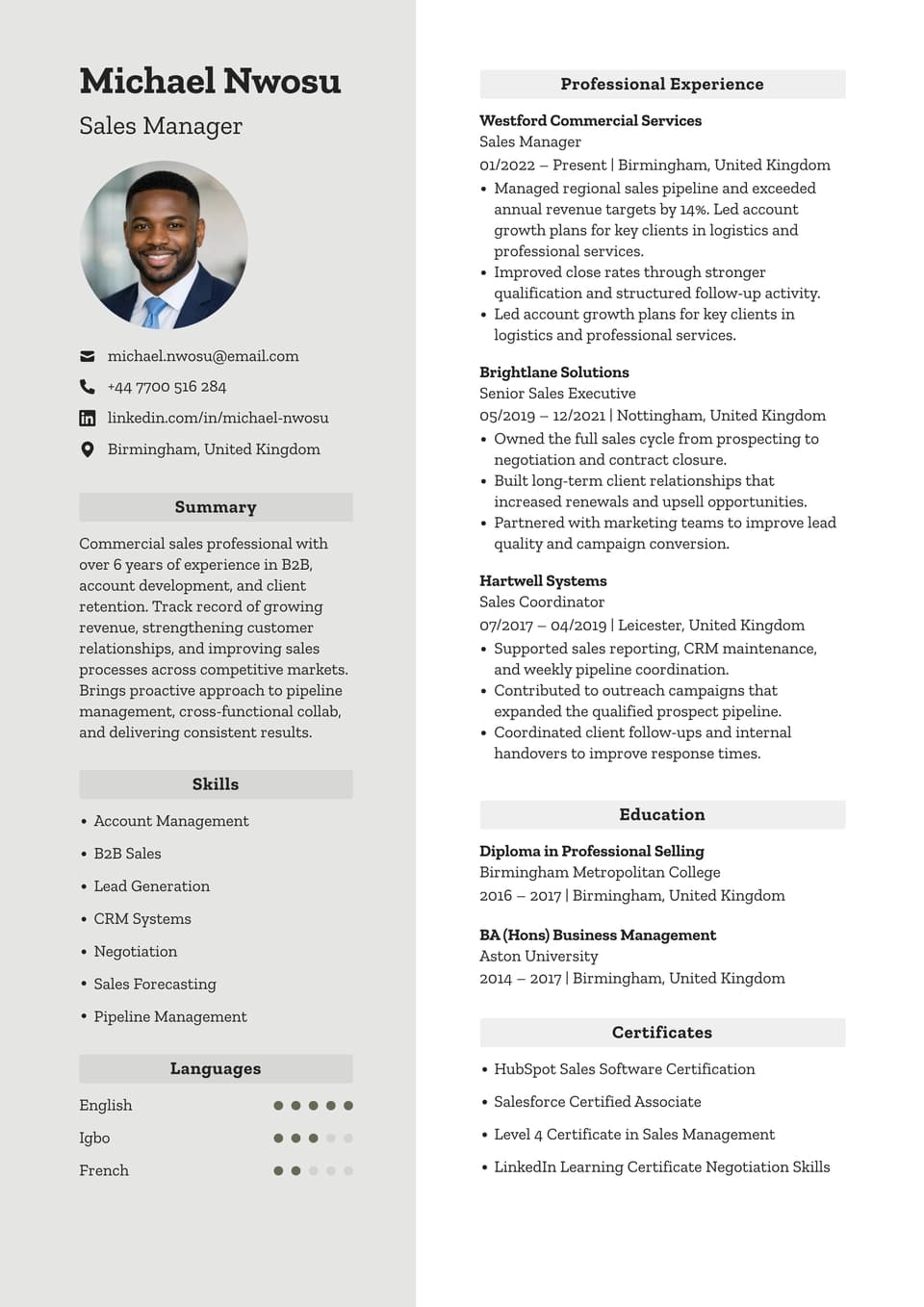 Sales Manager resume example