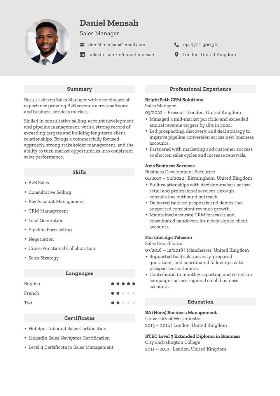 Sales Manager resume example