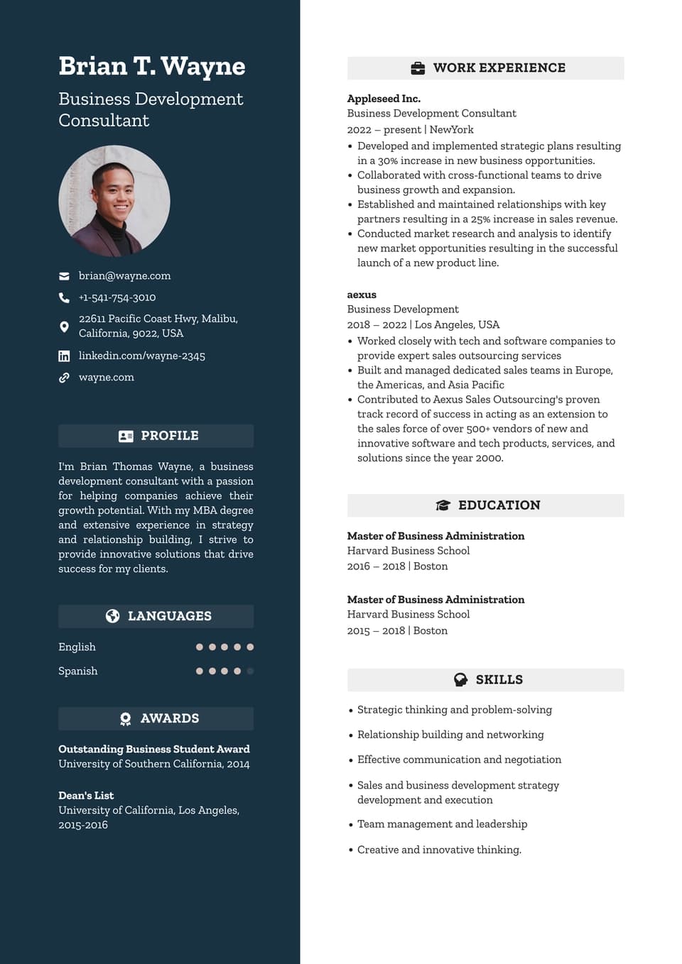 Business Development Consultant resume example